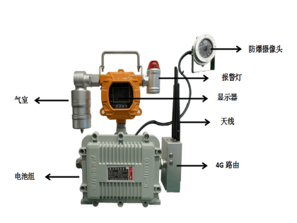 無(wú)線傳輸帶攝像頭移動(dòng)在線式硫化氫檢測(cè)報(bào)警儀